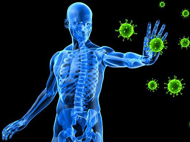 systeme immunitaire